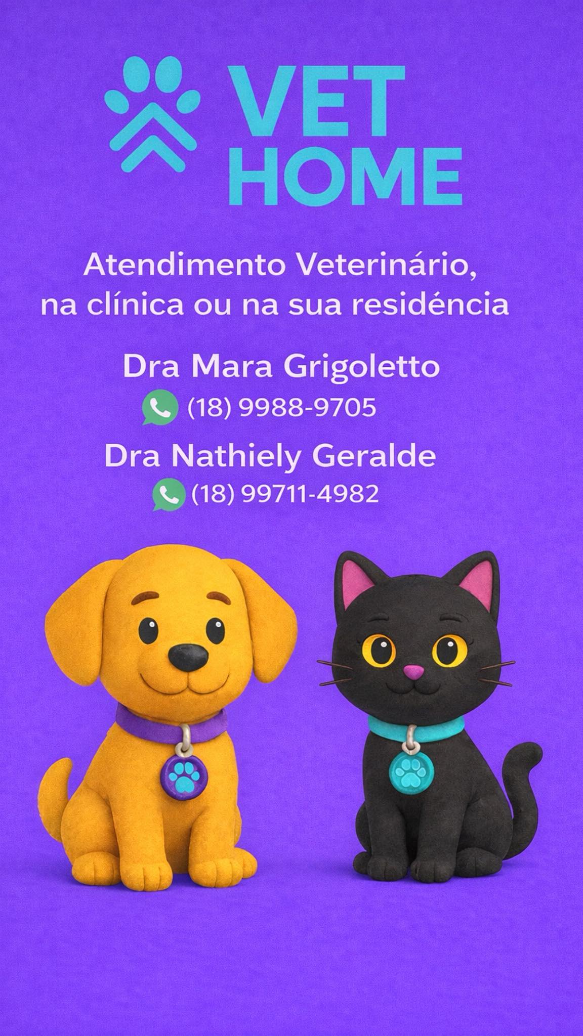 VetHome Birigui – Dra. Mara e Dra. Nathiely